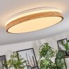 Plafonnier Sofo LED Blanc, 1 lumière, Télécommandes