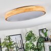 Plafonnier Sofo LED Blanc, 1 lumière, Télécommandes
