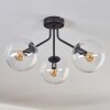 Plafonnier - Verre Gastor Clair, 3 lumières
