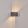 Applique murale d'extérieur Tamarin LED Anthracite, 1 lumière