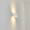 Applique murale d'extérieur Tamarin LED Blanc, 1 lumière