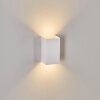 Applique murale d'extérieur Tamarin LED Blanc, 1 lumière