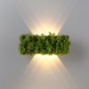 Applique murale Leuchten-Direkt GREEN CARLO LED Argenté, 6 lumières