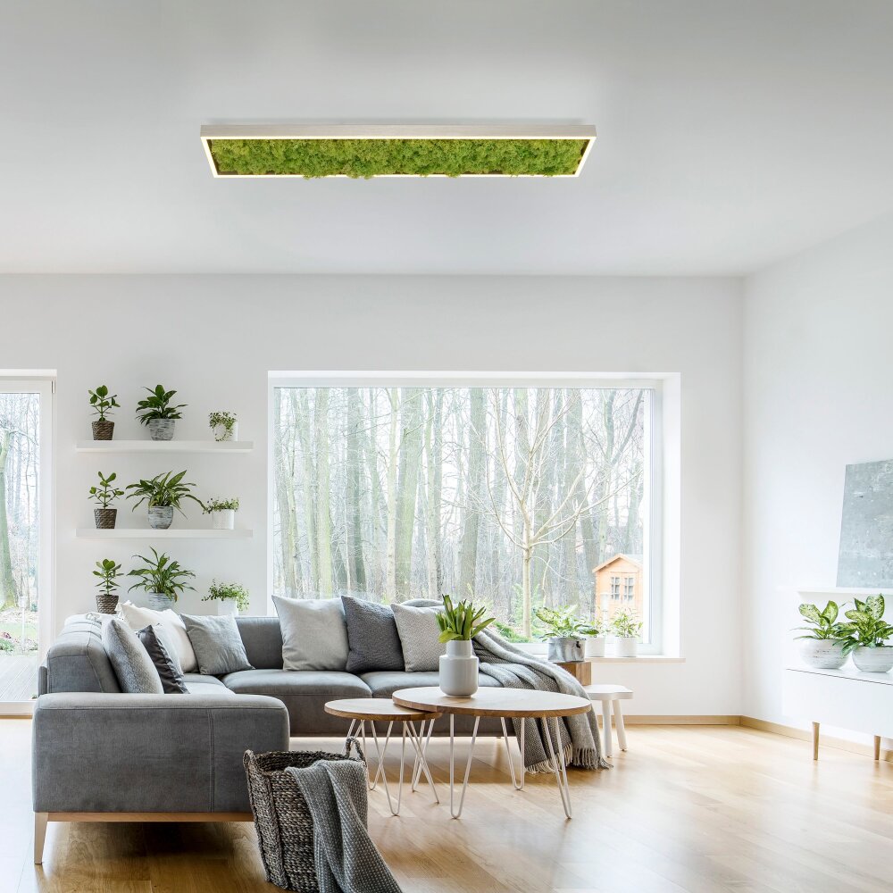 Plafonnier Leuchten-Direkt GREEN KNUT LED Argenté, 1 lumière main product photo