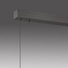 Suspension Paul-Neuhaus NANIA LED Gris, 1 lumière