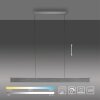 Suspension Paul-Neuhaus NANIA LED Gris, 1 lumière