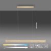 Suspension Paul-Neuhaus NANIA LED Or, 1 lumière