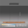 Suspension Paul-Neuhaus NANIA LED Couleur bois, Noir, 1 lumière