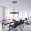 Suspension Paul-Neuhaus PURE E-CLIPSE LED Gris, 2 lumières, Télécommandes