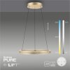 Suspension Paul-Neuhaus PURE E-LOOP LED Or, 2 lumières, Télécommandes