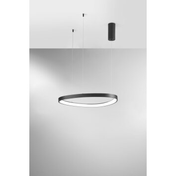 Suspension Lutec BEZI LED Noir, 1 lumière