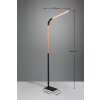 Lampadaire Trio NORRIS LED Noir, 1 lumière