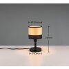 Lampe de table Reality BOLZANO Noir, 1 lumière