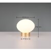 Lampe de table Reality EARL LED Laiton, 1 lumière