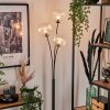 Lampadaire - Verre 15 cm Bernado Clair, 3 lumières