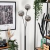 Lampadaire - Verre 15 cm Bernado Fumé, 3 lumières