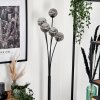 Lampadaire - Verre 10 cm Bernado Fumé, 5 lumières