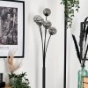 Lampadaire - Verre 10 cm Bernado Fumé, 5 lumières