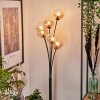 Lampadaire - Verre 12 cm Bernado Ambre, Clair, 6 lumières