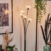 Lampadaire - Verre 10 cm Bernado Clair, 5 lumières