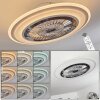 Ventilateur de plafond Terradura LED Chrome, Blanc, 1 lumière, Télécommandes