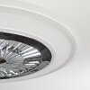 Ventilateur de plafond Terradura LED Chrome, Blanc, 1 lumière, Télécommandes