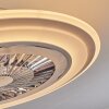 Ventilateur de plafond Terradura LED Chrome, Blanc, 1 lumière, Télécommandes