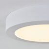 plafonnier extérieur Leto LED Blanc, 1 lumière