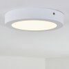 plafonnier extérieur Leto LED Blanc, 1 lumière