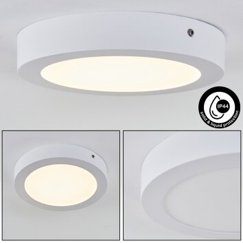 plafonnier extérieur Leto LED Blanc, 1 lumière