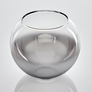verre de rechange 15 cm Koyoto Chrome, Clair, Fumé