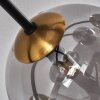 Plafonnier - Verre 12 cm, 15 cm Chehalis Or, Noir, 6 lumières