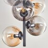 Plafonnier - Verre 15 cm Gastor Ambre, Clair, Fumé, 6 lumières