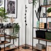Lampadaire - Verre 15 cm Remaisnil Clair, 6 lumières