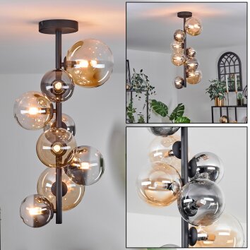 Plafonnier - Verre 10 cm, 12 cm, 15 cm Chehalis Ambre, Clair, Fumé, 8 lumières Plafonnier - Verre 10 cm, 12 cm, 15 cm Chehalis Ambre, Clair, Fumé, 8 lumières