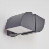 Applique murale d'extérieur Kontenga LED Anthracite, 2 lumières