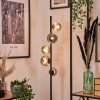 Lampadaire - Verre 10 cm, 12 cm Remaisnil Fumé, 5 lumières