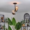 Plafonnier - Verre 12 cm Chehalis Ambre, Fumé, 4 lumières