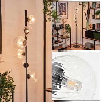 Lampadaire - Verre 10 cm, 12 cm, 15 cm Remaisnil Clair, 6 lumières