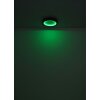Plafonnier Globo BRANZA LED Noir, 1 lumière, Télécommandes