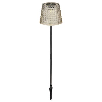 Borne lumineuse Globo SOLAR LED Fumée, Noir, 1 lumière