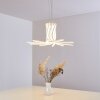 Suspension Bangor LED Blanc, 1 lumière