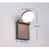 Applique murale Trio ADOUR LED Anthracite, 1 lumière