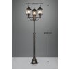 Lampadaire d'extérieur Trio Volturno Rouille, 3 lumières