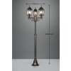 Lampadaire d'extérieur Trio Volturno Rouille, 3 lumières