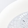 Plafonnier Brilliant Salerno LED Blanc, 1 lumière, Télécommandes