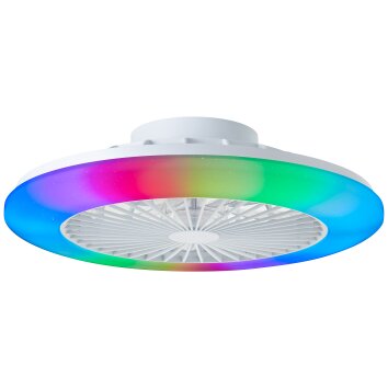 Plafonnier Brilliant Salerno LED Blanc, 1 lumière, Télécommandes