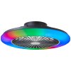 Plafonnier Brilliant Salerno LED Noir, 1 lumière, Télécommandes