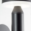 Applique murale d'extérieur Brilliant Magua LED Noir, 1 lumière