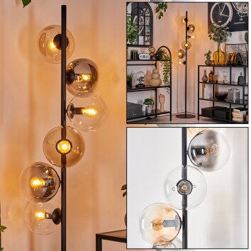 Lampadaire - Verre 15 cm Gastor Ambre, Clair, Fumé, 6 lumières